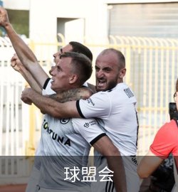 球盟会案例